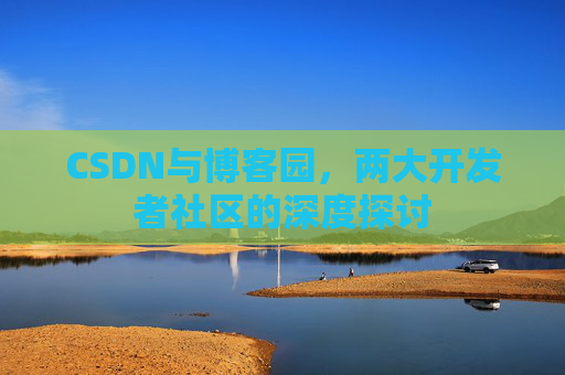 CSDN与博客园，两大开发者社区的深度探讨